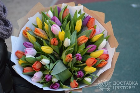 Букет из 51 разноцветного тюльпана "Праздник весны"